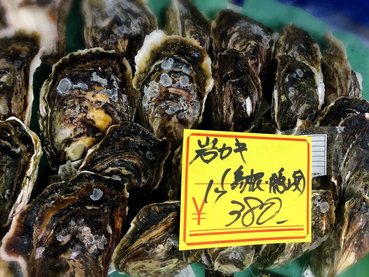 川崎市地方卸売市場南部市場水産牡蠣
