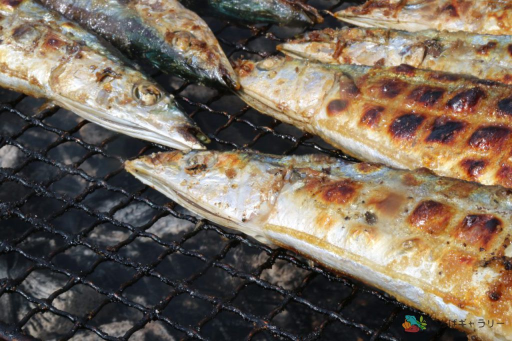 焼き秋刀魚3のフリー素材 市場の写真 いちばギャラリー