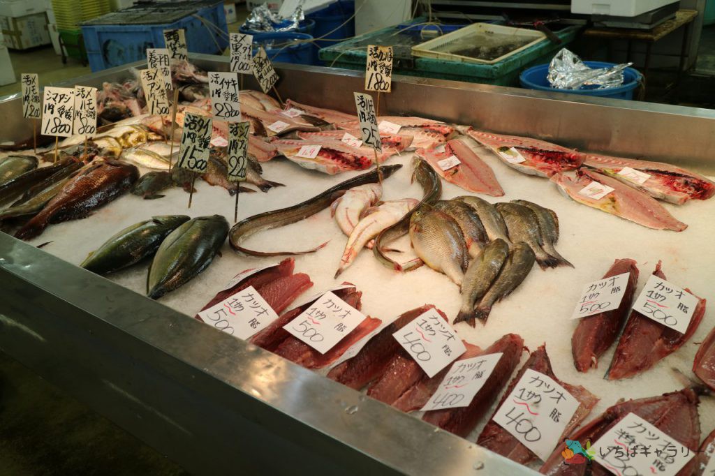 魚たちのフリー素材 市場の写真 いちばギャラリー