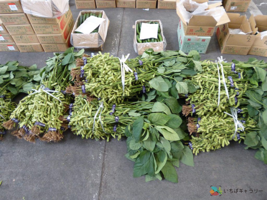 枝豆のフリー素材（市場の写真）