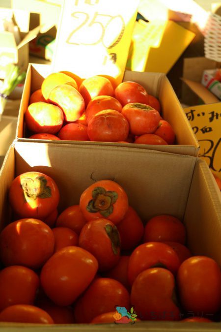 柿のフリー素材（市場の写真）
