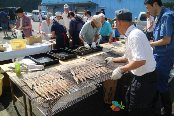 秋刀魚祭り2のフリー素材（市場の写真）