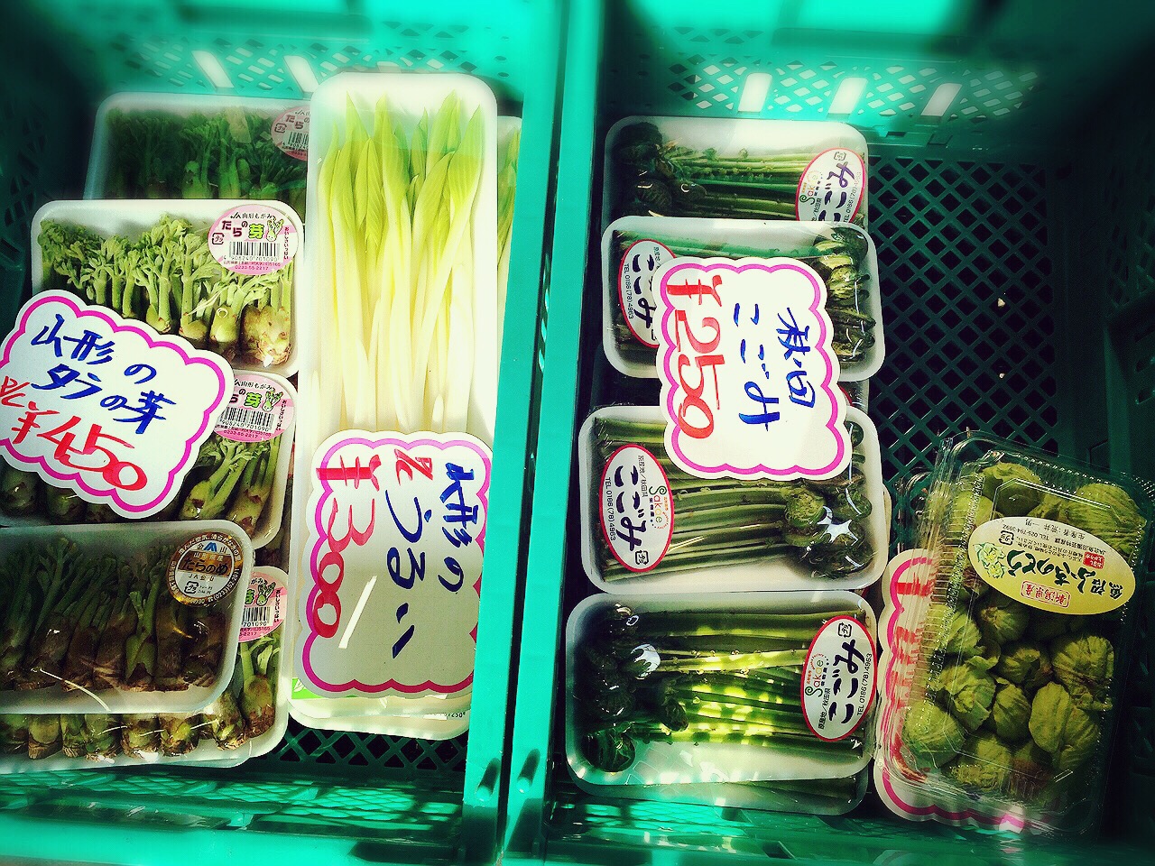 川崎市地方卸売市場南部市場おぐち山菜