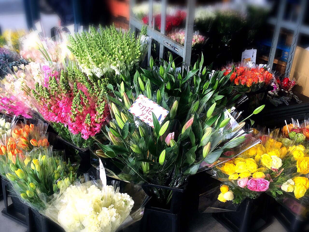 川崎市地方卸売市場南部市場いちばいち花卉占部商会