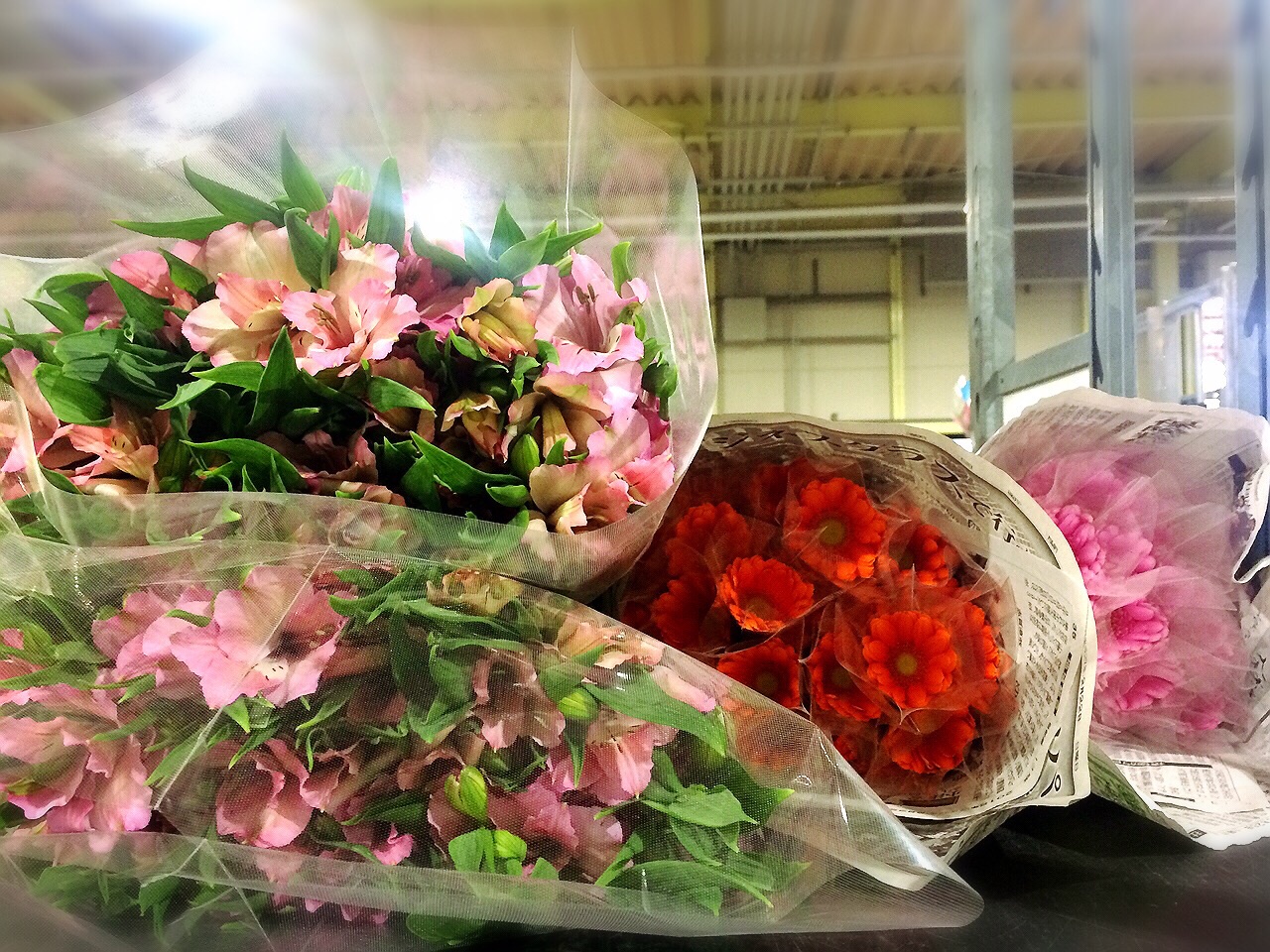 川崎市地方卸売市場南部市場花卉