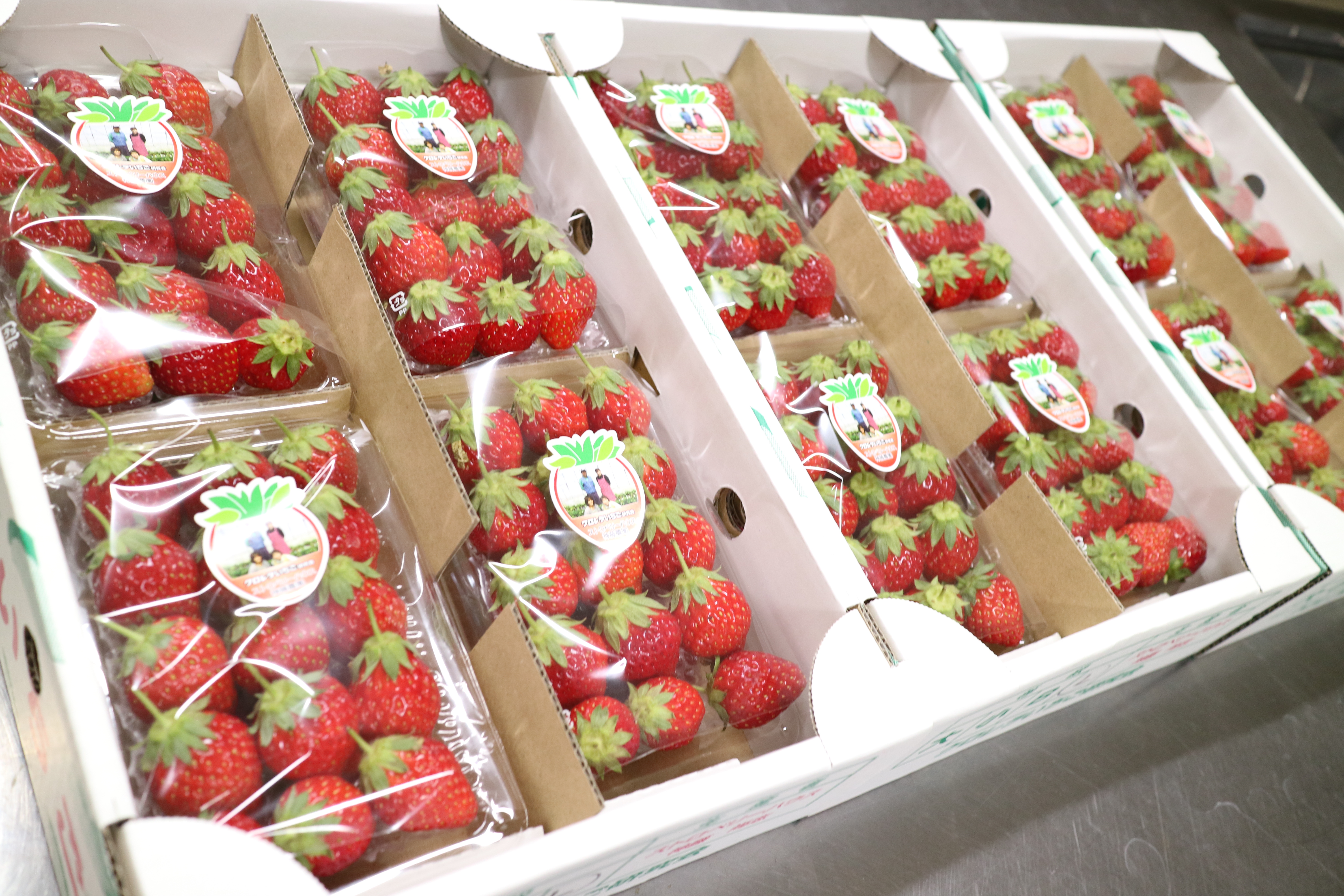 川崎市地方卸売市場南部市場バレンタイン苺チョコ