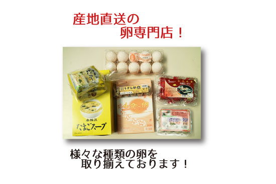 京浜鶏卵産地直送の卵専門店！