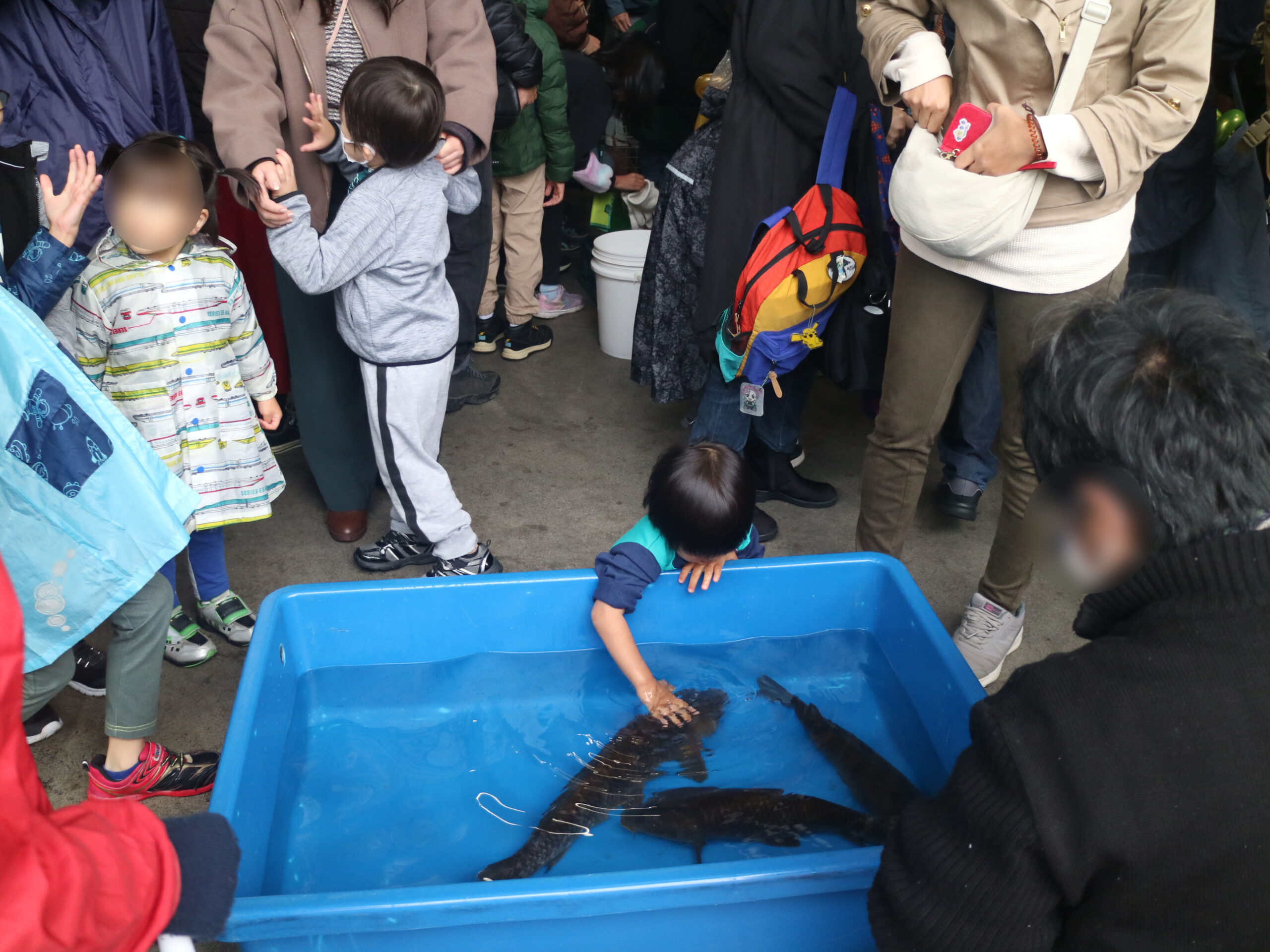 ふれあい移動水族館